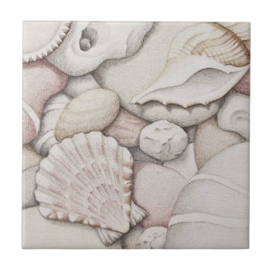Scallop & Tibia Shells and Pebbles Ceramic Tile Tegeltje