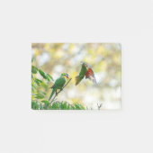 Scaly breasted en Rainbow Loriket. Post-it® Notes (Voorkant)