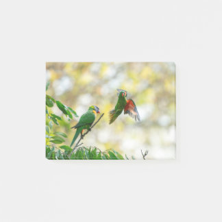 Scaly breasted en Rainbow Loriket. Post-it® Notes