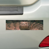 Scaly Scare Bumpersticker (Op auto)