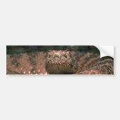 Scaly Scare Bumpersticker (Voorkant)