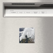 Scandinavia Magneet (Insitu (Vaatwasser))