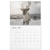 Scandinavië 2026 kalender (Feb 2026)