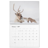 Scandinavië 2027 kalender (Feb 2027)