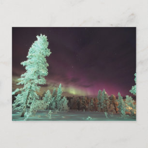 Scandinavië, Finland, Lapland, Kakslauttanen, Briefkaart