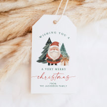 Scandinavische Kerstman Kerstboom Vakantie