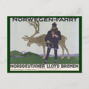  Scandinavische reis naar het Noorse Man rendier Briefkaart