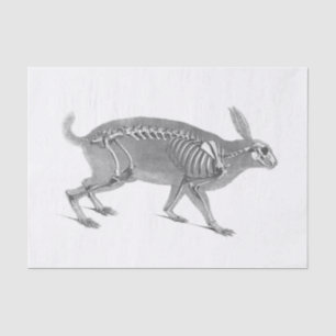 Scandinavische vintage skelet tissuepapier