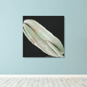 Scanning-elektronenmicroscoop afbeelding van een a canvas afdruk (Insitu (Houten vloer))
