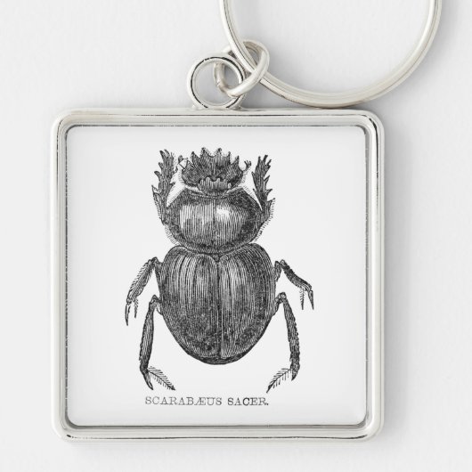 Scarab Beetel pen en inkttekening Sleutelhanger (Voorkant)