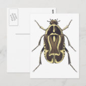 Scarab Beetle Briefkaart (Voorkant / Achterkant)