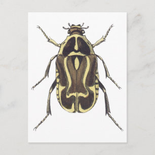 Scarab Beetle Briefkaart