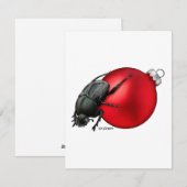 Scarabée - carte de vacances (Devant / Derrière)