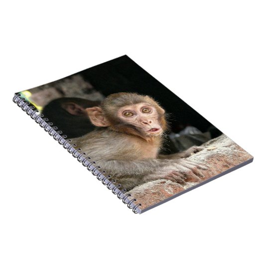 Scared aap met laptop met grote ogen notitieboek (Rechterzijde)