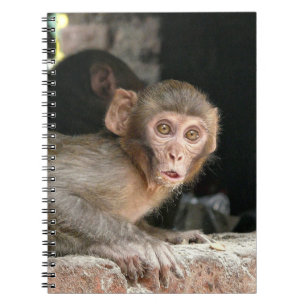 Scared aap met laptop met grote ogen notitieboek