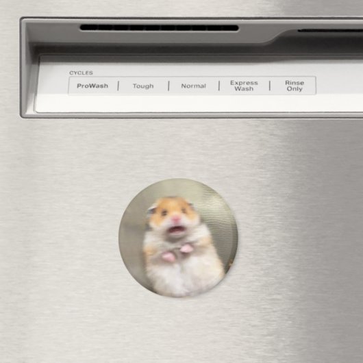 Scared Hamster Meme Magnet Magneet (Insitu (Vaatwasser))