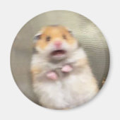 Scared Hamster Meme Magnet Magneet (Voorkant)