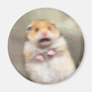 Scared Hamster Meme Magnet Magneet
