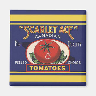 Scarlet Ace Tomaten Magnet Magneet