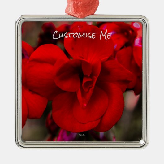 Scarlet Begonias Metalen Ornament (Voorkant)