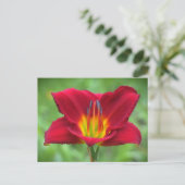 Scarlet Daylily Briefkaart (Staand voorkant)