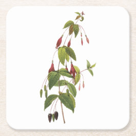 scarlet fuchsia (Fuchsia coccinea) door Redouté Vierkante Kartonnen Onderzetter
