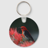 Scarlet honeyater Exotic Bird Sleutelhanger (Achterkant)
