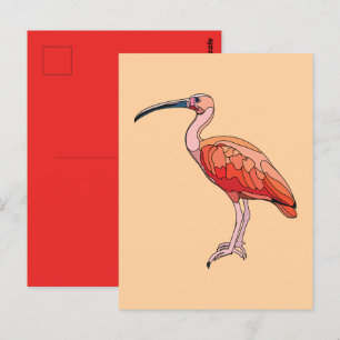 Scarlet Ibis Bird Briefkaart