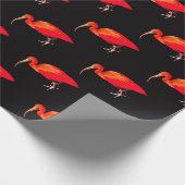 Scarlet Ibis Cadeaupapier (Hoek)