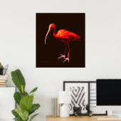 Scarlet Ibis op zwart Poster (Thuiskantoor)