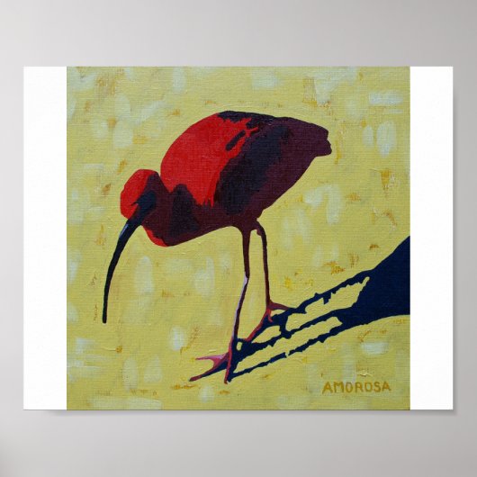 Scarlet Ibis Poster (Voorkant)