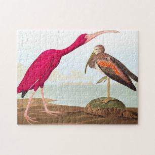 Scarlet ibis van John James Audubon Legpuzzel