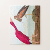 Scarlet ibis van John James Audubon Legpuzzel (Verticaal)