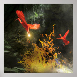 Scarlet Ibis Vogels “DE LICHT STELEN” Poster