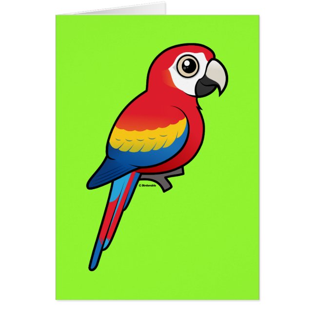 Scarlet Macaw (Voorkant)