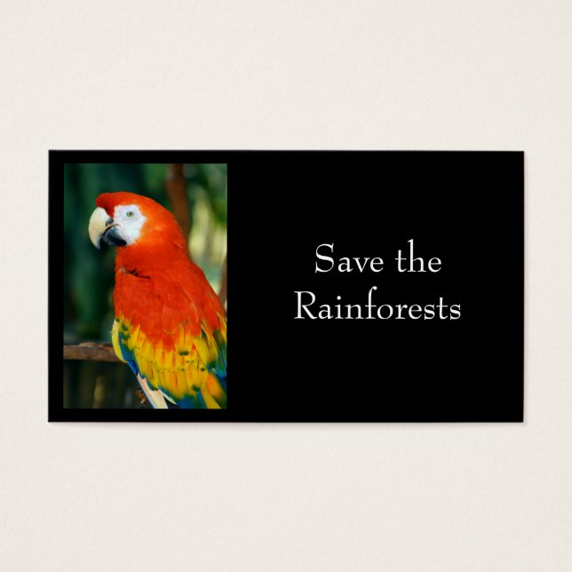 Scarlet Macaw (Devant)