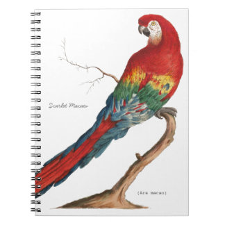 Scarlet Macaw, Ara macao Notitieboek