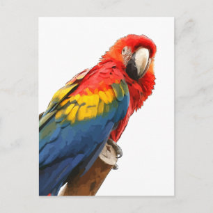 Scarlet Macaw Briefkaart