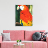 Scarlet Macaw Canvas Afdruk (Insitu (Woonkamer))