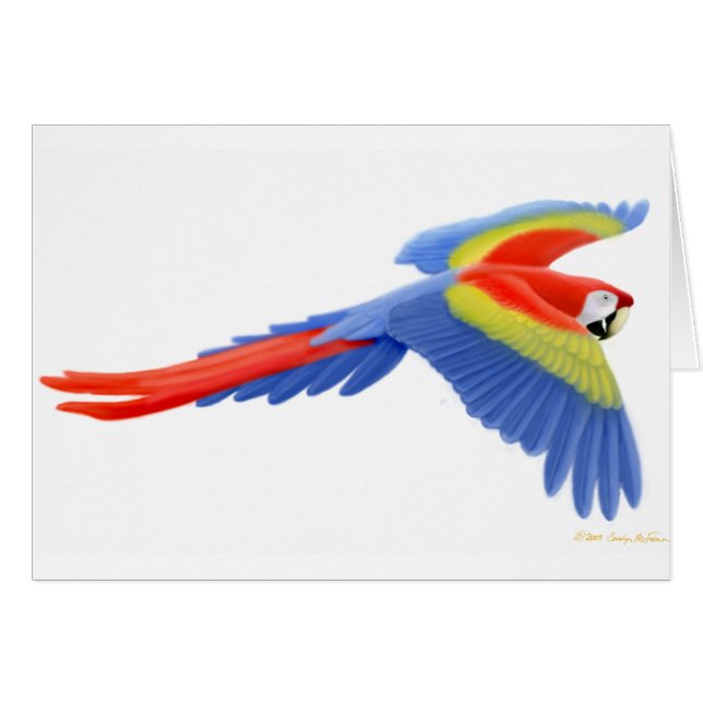 Scarlet Macaw Card (Voorkant Horizontaal)