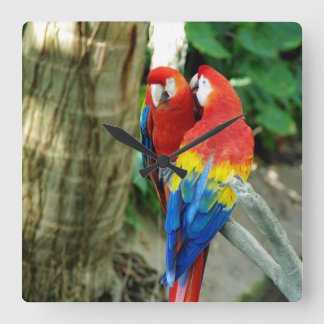 Scarlet Macaw Clock Vierkante Klok