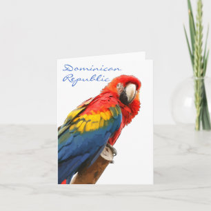 Scarlet Macaw Dominicaanse Republiek Opmerking Kaa Feestdagen Kaart