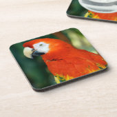 Scarlet Macaw Drankjes Onderzetter (Linkerzijde)