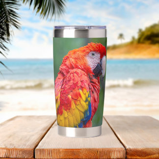 Scarlet Macaw Geïsoleerde Drinkbeker