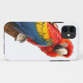 Scarlet Macaw iPhone 5 Coque (Dos (Horizontal))