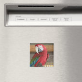 Scarlet Macaw Magnet Magneet (Insitu (Vaatwasser))