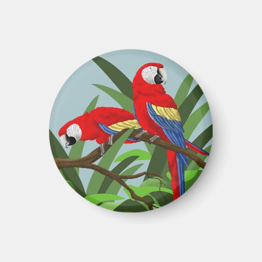 Scarlet Macaw Magnets (Devant)