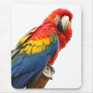 Scarlet Macaw Muismat