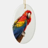 Scarlet Macaw Oval Ornament (Rechts)