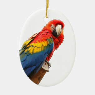 Scarlet Macaw Oval Ornament